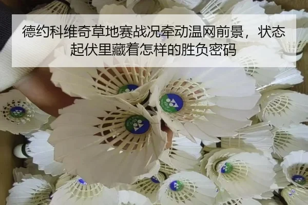 德约科维奇草地赛战况牵动温网前景，状态起伏里藏着怎样的胜负密码